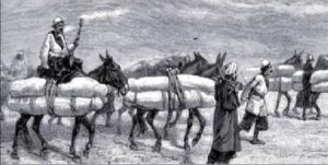 تاریخچه دفن در کربلا
